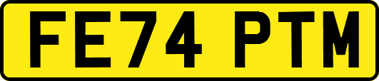 FE74PTM
