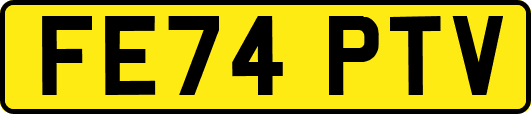 FE74PTV