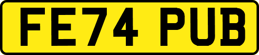 FE74PUB
