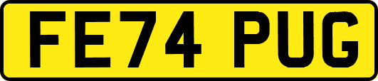 FE74PUG