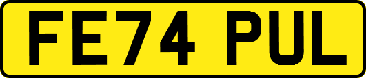 FE74PUL