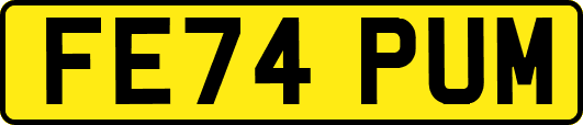 FE74PUM