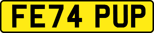 FE74PUP