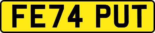 FE74PUT