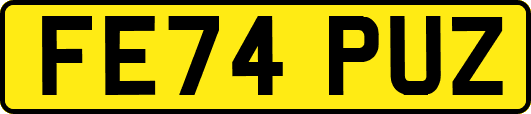 FE74PUZ