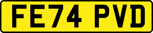 FE74PVD