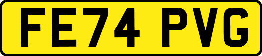 FE74PVG