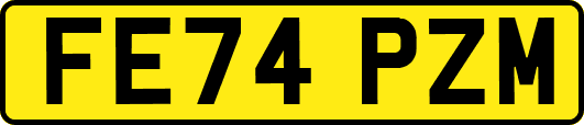 FE74PZM