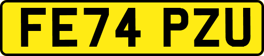 FE74PZU