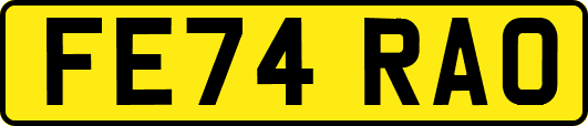 FE74RAO