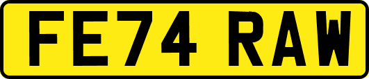 FE74RAW