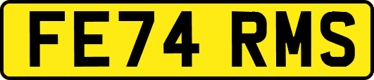 FE74RMS
