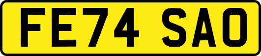 FE74SAO