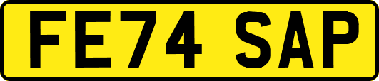 FE74SAP