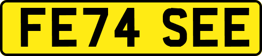 FE74SEE