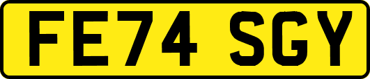 FE74SGY