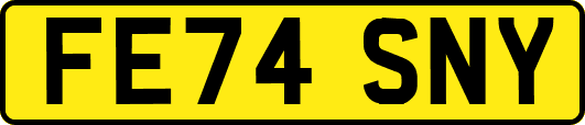 FE74SNY