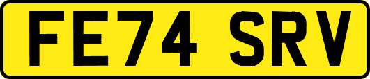 FE74SRV