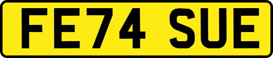 FE74SUE