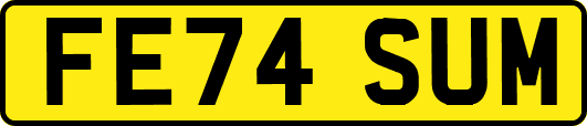 FE74SUM