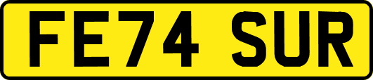 FE74SUR