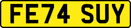 FE74SUY