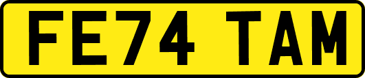 FE74TAM