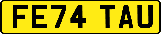 FE74TAU