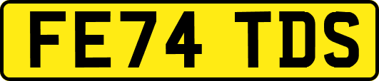 FE74TDS