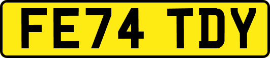 FE74TDY