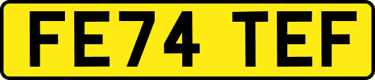 FE74TEF