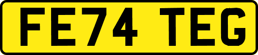 FE74TEG