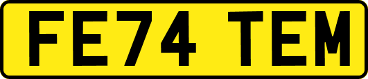 FE74TEM