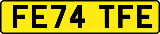 FE74TFE