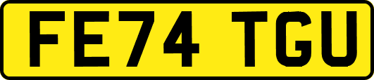 FE74TGU