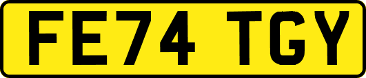 FE74TGY