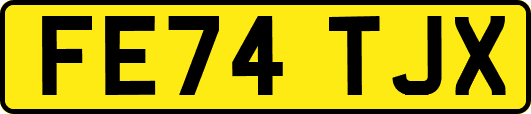 FE74TJX