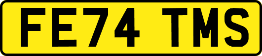 FE74TMS