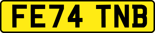 FE74TNB