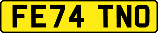 FE74TNO