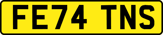 FE74TNS
