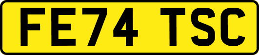 FE74TSC