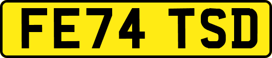 FE74TSD