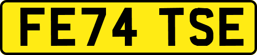 FE74TSE