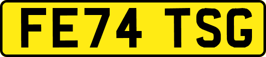 FE74TSG