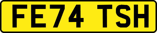 FE74TSH