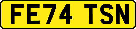 FE74TSN