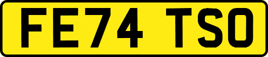 FE74TSO