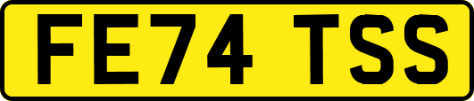 FE74TSS