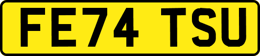 FE74TSU